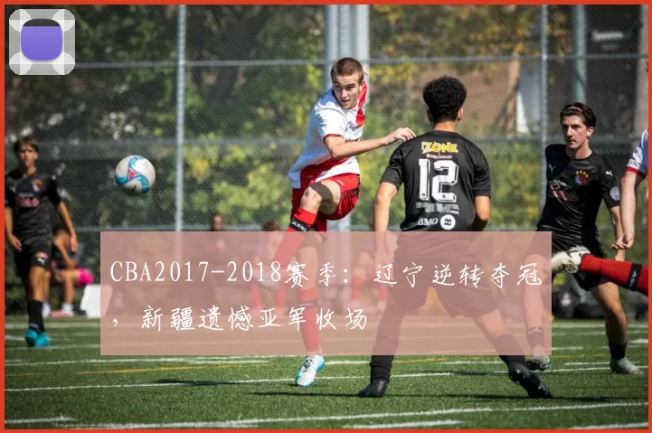 CBA2017-2018赛季：辽宁逆转夺冠，新疆遗憾亚军收场