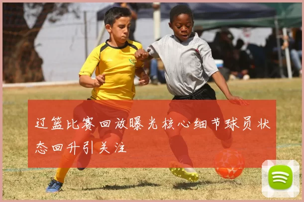 辽篮比赛回放曝光核心细节球员状态回升引关注